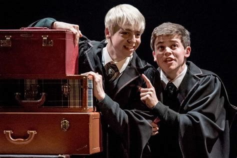 The Harry Potter Universe Still Can T Translate Its Gay Subtext To Text