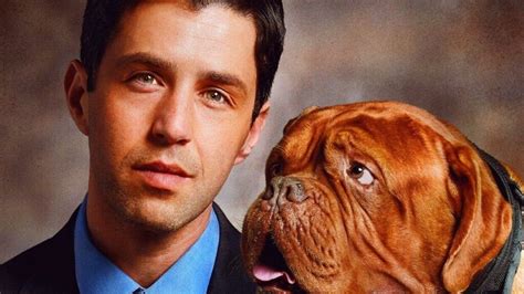 How To Watch Turner And Hooch Online Stream The New Disney Plus