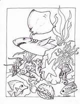 Coloring Para Pages Colorear Ecosistema Kids Dibujo Pintar Dibujos Colorings Artículo Mar Negro Blanco Animales Animal Acuático sketch template