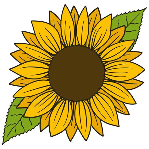 draw  simple sunflower