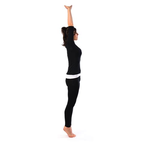 basic  important yoga poses   benefits  brunette diaries
