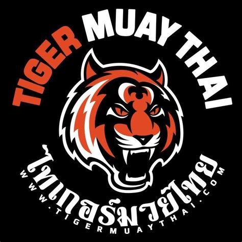 the tiger muay thai and mma training camp phuket thailand facebook
