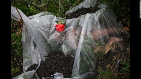 New york (ap) — a police cruiser constantly sits a few feet from a small floral memorial to eric garner on the staten island sidewalk where . Did 2014 feel like world had gone mad? (Opinion) - CNN
