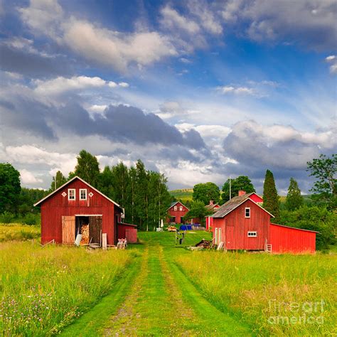 farm  varmland  sweden photograph  kathleen smith pixels