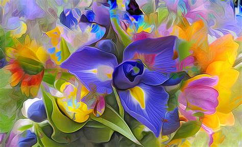 iris colorful flower artistic painting hd wallpaper