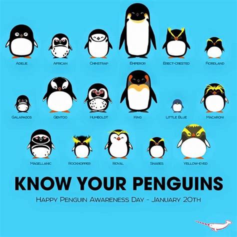 today  world penguin day arcom