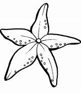 Starfish Sheets Coloringfolder sketch template