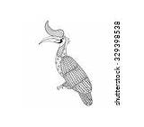 Bird Coloring Vector Hornbill Zentangle Books Adult Stock Illustartion Rhinoceros Decorations Tree Book Other Exotic Isolated Monochrome Sketch Tattoos Background sketch template