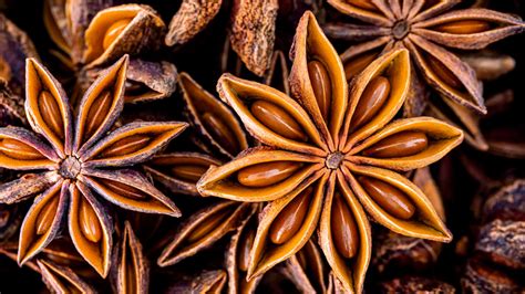 star anise  anise whats  difference