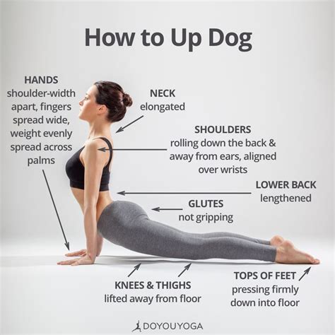 upward facing dog yoga pose tip yoga tips pose healthy