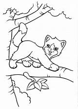 Coloring Pages Cat Frank Lisa Printable Tree Sheets Print Colouring Tiger Animal Kids Girls Cute Sunflower Horse Clipart Coloringtop Cats sketch template