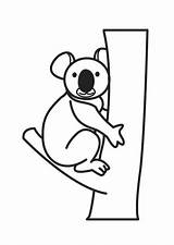 Koala Coloring Bear Pages Printable sketch template