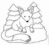 Fox Coloring Pages Snow Color Stone Arctic Choose Board Kids Template sketch template