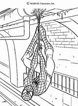 Spiderman Pintar sketch template