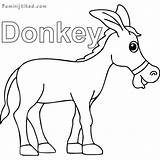 Donkey Donkeys Mule Mammals sketch template