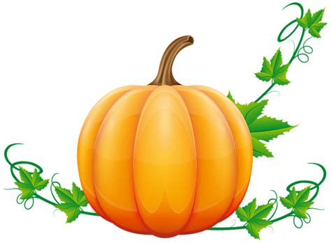pumpkin vine clipart at getdrawings free download