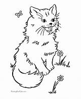 Coloring Cat Pages Printable Kitten Animal Cute Kids Garden Sheets Cats Kitty Print Butterfly Color Honkingdonkey Kittens Pet Dot Book sketch template