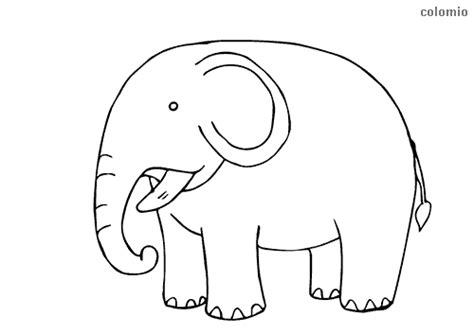 zoo animal coloring pages  print