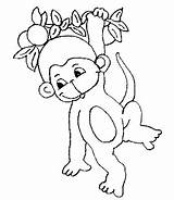 Monos Gorilas Orangutanes Chachipedia sketch template