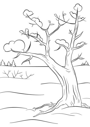 click   printable version  winter tree coloring page tree