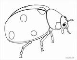 Ladybug Dibujos Mariquita Coloringbay sketch template