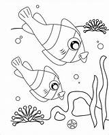 Clownfish Coloringbay Nemo sketch template