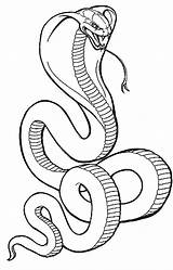 Snake King Cobras sketch template
