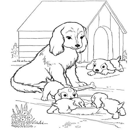 coloring pictures  dogs  puppies puppy coloring pages dog