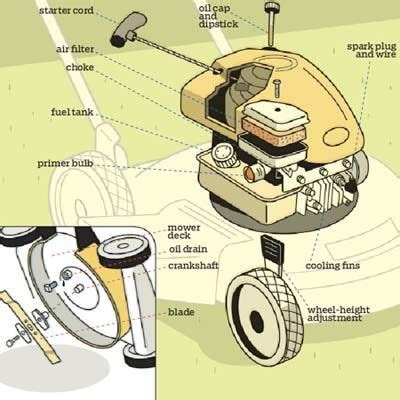 anatomy   lawn mower lawn mower repair lawn mower lawn mower maintenance
