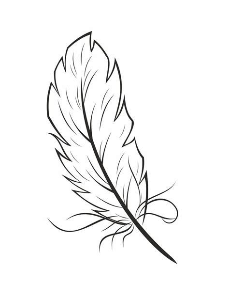 feathers coloring page coloring home