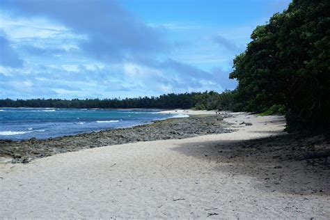 discover  turtle bay resort  oasis  paradise