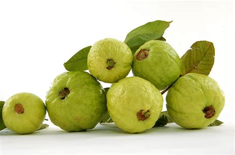 guava fruit pictures