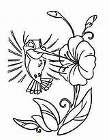 Hummingbird Cartoon Coloring Pages Flower Humming Drawing Bird Color Hummingbirds Line Printable Drawings Easy Clipart Cliparts Outline Sheets Print Library sketch template