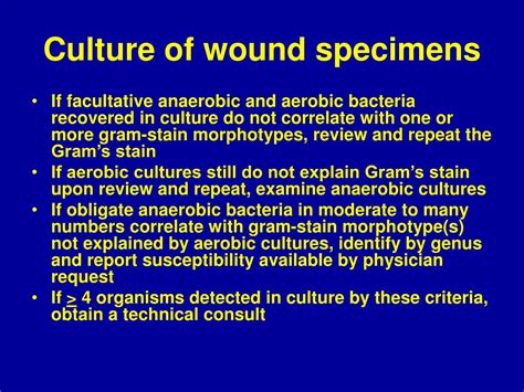 skin wound infections powerpoint