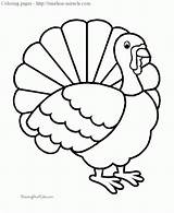 Miracle Timeless Turkey Coloring Printable Pages sketch template