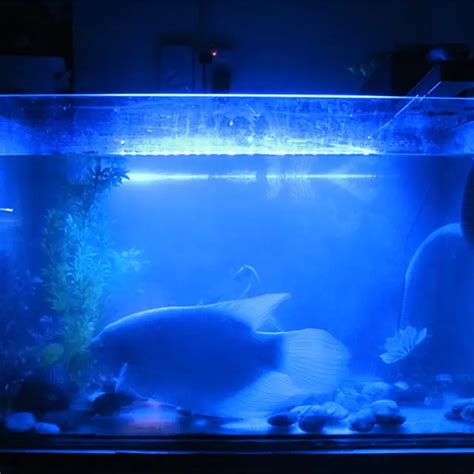aquarium tropical fish tank waterproof  smd cm leds light bar lamp submersible strip