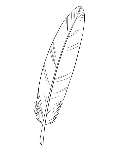 comment dessiner une plume artofit