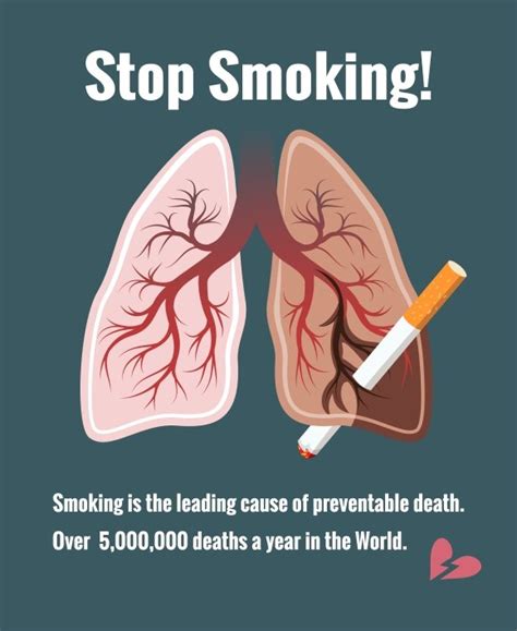 lungs and smoking stop smoking ~ graphics ~ creative market