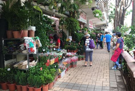 guide  hong kong flower market hk expats