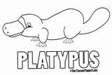 Platypus Coloring Pages Choose Board Colour Animal sketch template