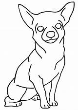 Chihuahua Coloriage Puppy Chihuahuas Bestcoloringpagesforkids Dxf Eps sketch template