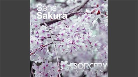 Sakura Original Mix Youtube
