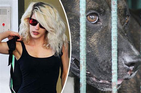 Woman Had Sex With Pit Bull After Being Sent Suggestive Texts From