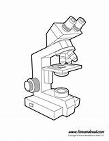 Microscope Unlabeled Labeled Timvandevall Webstockreview Microscopes sketch template