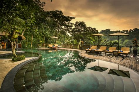 nandini jungle resort spa breathtaking jungle pool  bali