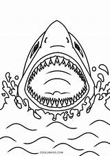 Coloring Shark Hai Ausmalbild Cool2bkids Ausdrucken Kostenlos Malvorlagen Sharks sketch template