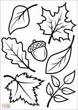 Coloring Fall Leaves Kids Pages Printable Leaf Sheets Template Autumn Adults Print Vorlagen Tree Herbst Adult Scenes Choose Board Acorn sketch template
