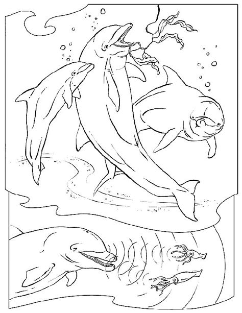ocean coloring pages clip art library