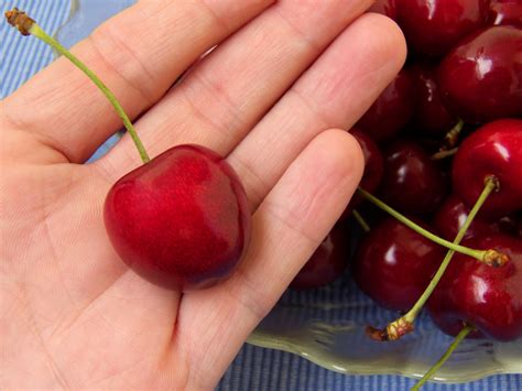 cheribundi blog choose tart cherries to help beat fruit fatigue
