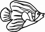 Pesti Pesce Pesci Colorat Desene Peste Tropicali Planse Kolorowanki Angelo Ryba Diversi Angelfish Desenat Pestele Tropicale Kolorowanka Morska Poissons Anges sketch template